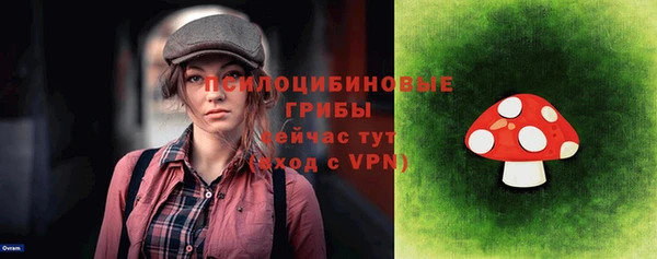 ешки Арсеньев