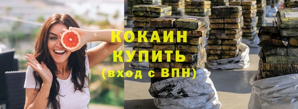 ешки Арсеньев